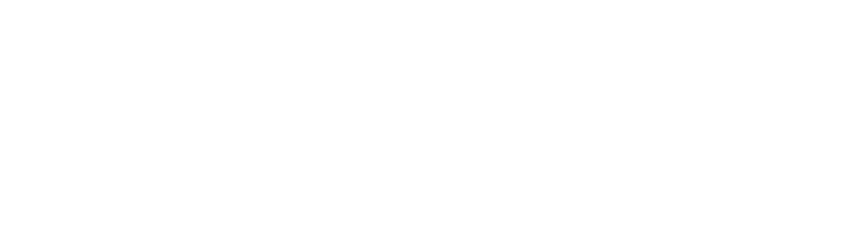 ibindo_Logo_weiss